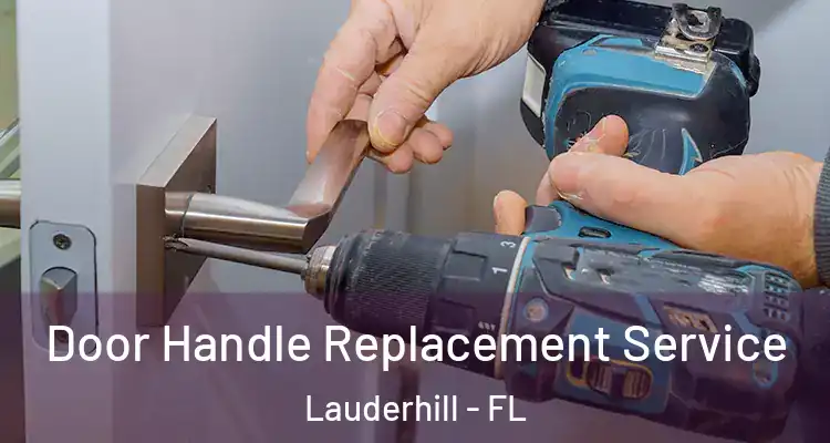  Door Handle Replacement Service Lauderhill - FL