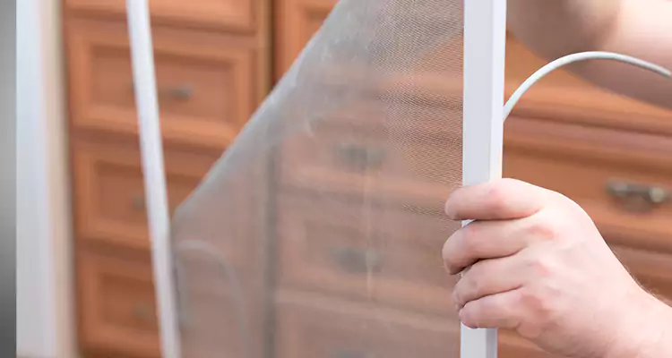 Privacy Mesh Screen Door Installation in Lauderhill, FL