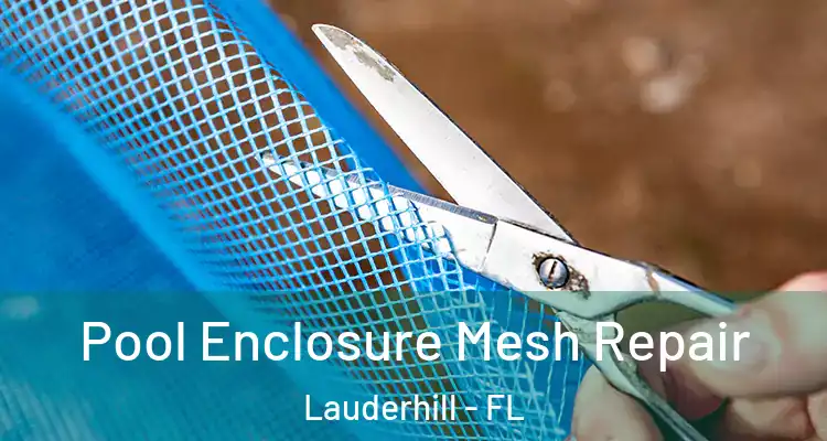  Pool Enclosure Mesh Repair Lauderhill - FL